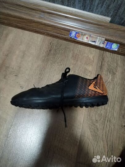 Сороконожки