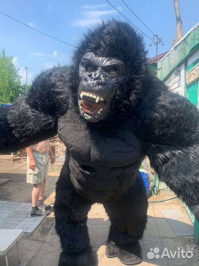 Праздничное поздравление от белого Мишки Мирошки