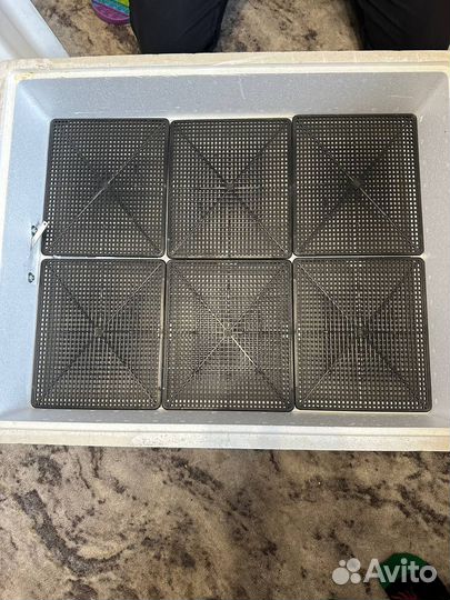 Инкубатор для яиц автоматический несушка