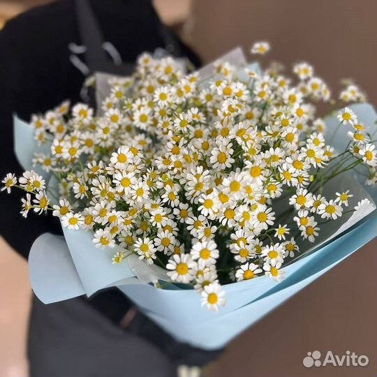 Ромашка Доставка цветов Букет из ромашек