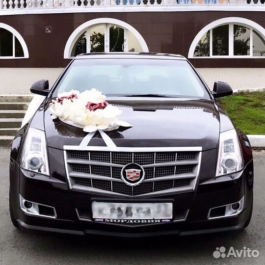 Cadillac на свадьбу
