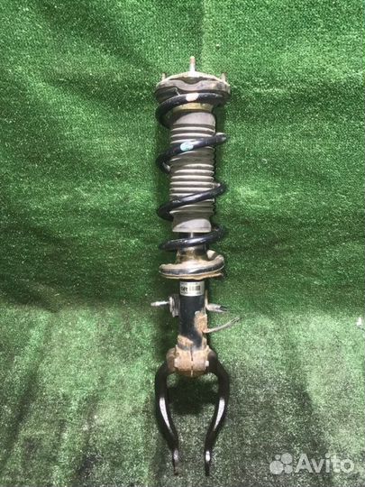 Амортизатор передний правый Infiniti Ex35 NJ50