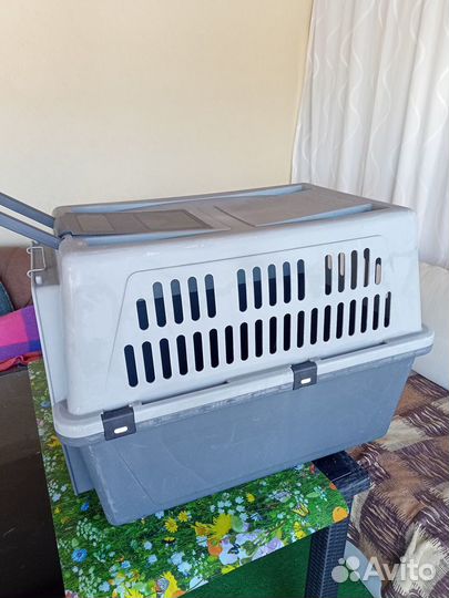 Переноска для собак