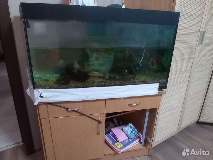 Аквариум