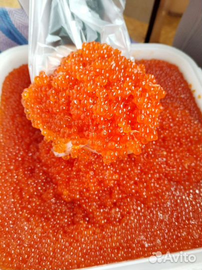 Красная икра Горбуши 2023г