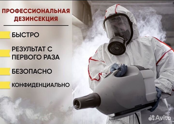 Дезинсекция/дезинфекция