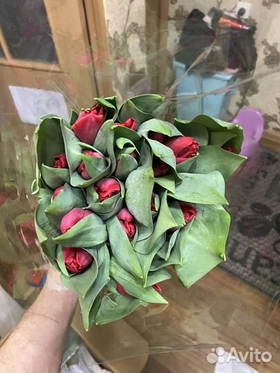 Цветы с доставкой тюльпаны