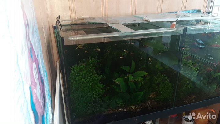 Аквариум