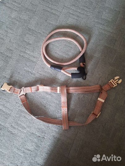 Шлейка с поводком