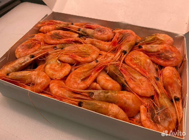 Креветка северная. Доставка. Опт
