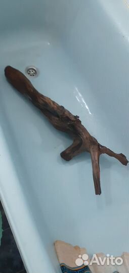 Коряга для аквариума бу