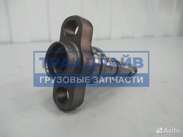 Плунжерная пара Камаз 2418455732