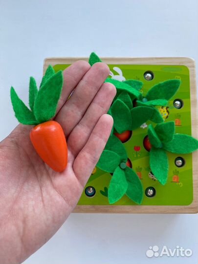 Деревянный сортер морковки, червячки