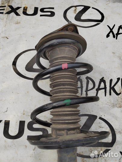 Амортизатор передний Toyota Rav4 axaa52 2019-Н.в