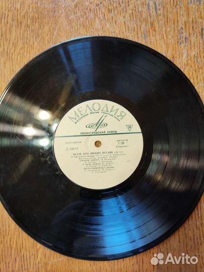 Виниловые пластинки