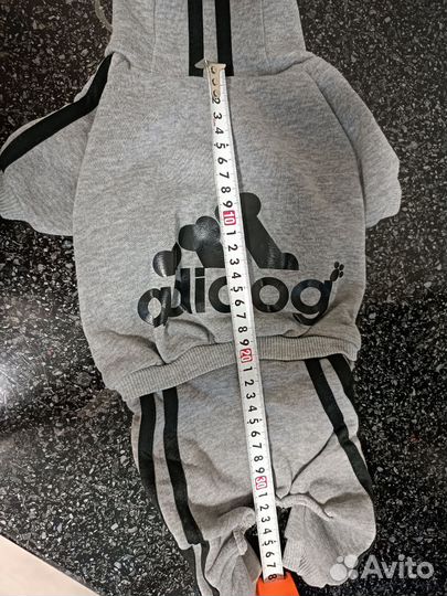 Одежда для кошек