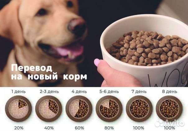 Корм для собак Акари киар Acari 2,5кг с доставкой