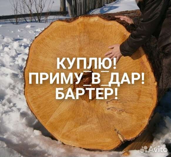 Спилы, кряжи, брёвна, капы