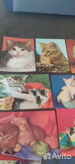 Открытки советские СССР