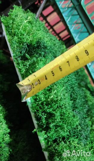 Готовые панели 25х50см от производителя мох