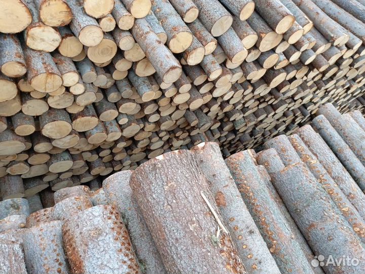 Лес кругляк пиловочник