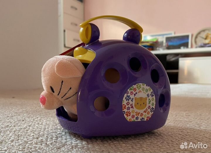 Котенок в переноске