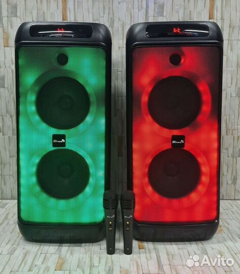 Колонка Eltronic 20-08