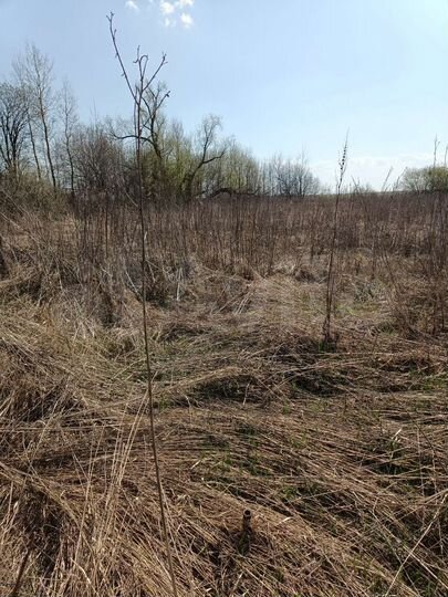 Участок 13 сот. (СНТ, ДНП)