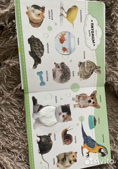 Развивающие книги для детей