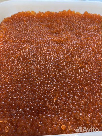 Красная икра горбуши с камчатки