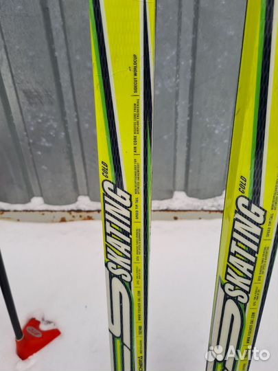 Лыжи беговые fisher skating cold