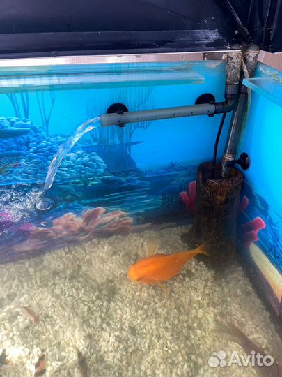 Аквариум с тумбой