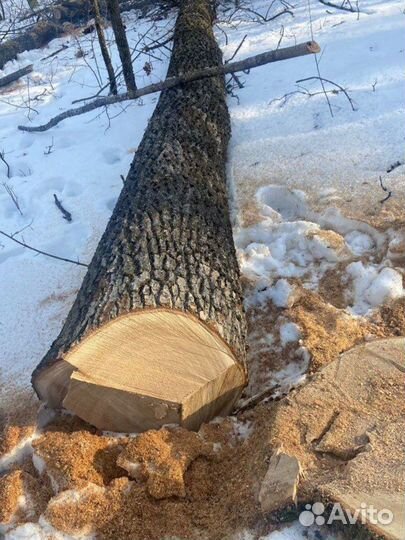 Дуб, кругляк, доска, ясень