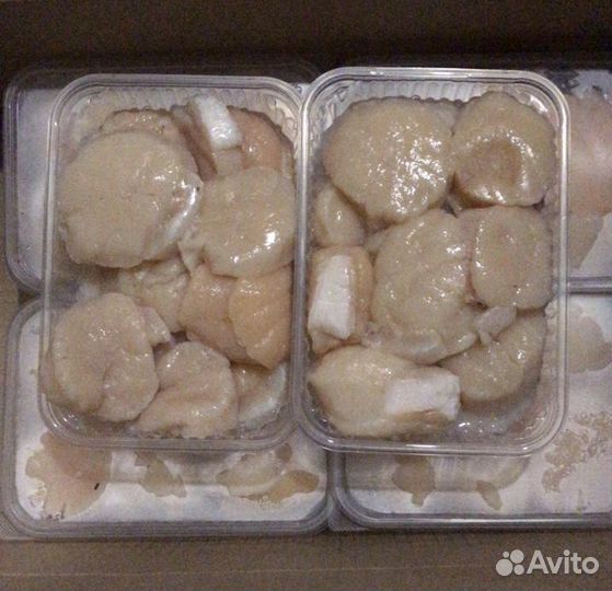 Парной Гребешок