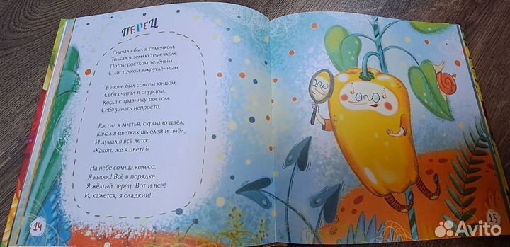 Книги для детей: Софи в мире деревьев, картонки