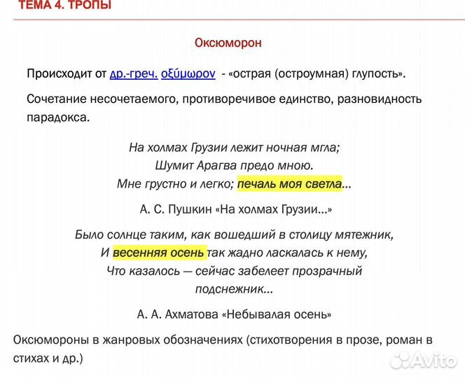 Репетитор егэ и огэ по литературе и русскому языку