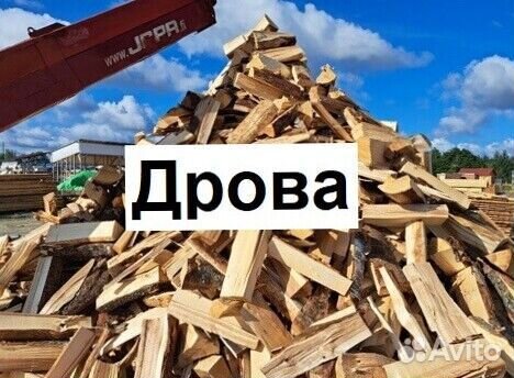 Дрова берёза