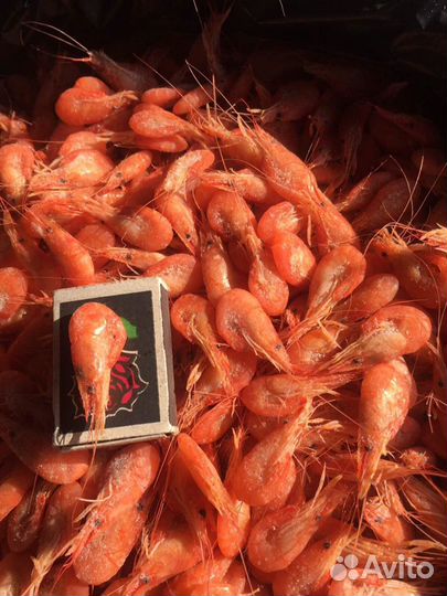 Креветка черноморская, азовская