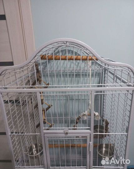 Клетка для попугая