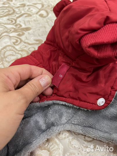 Комбинезон для собаки