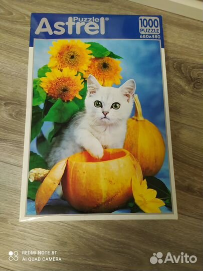 Пазлы 1000 деталей