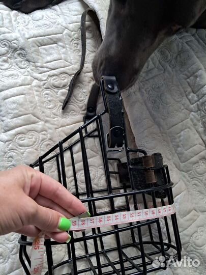 Намордник для большой собаки Trainersdog