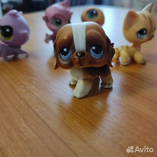 Littlest pet shop lps лпс