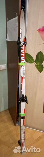 Беговые лыжи