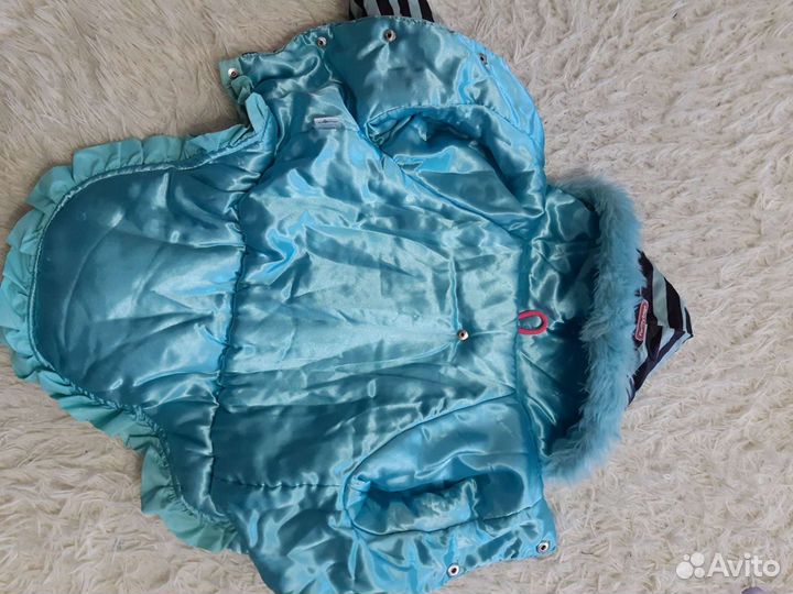 Одежда для собаки