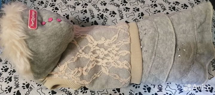 Одежда для собак