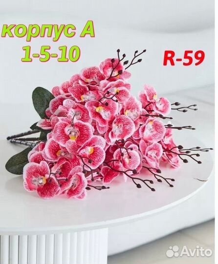 Дендробиум