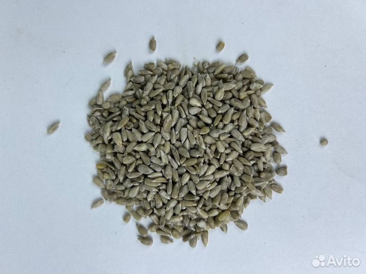 Подсолнечник / Семена подсолнечника