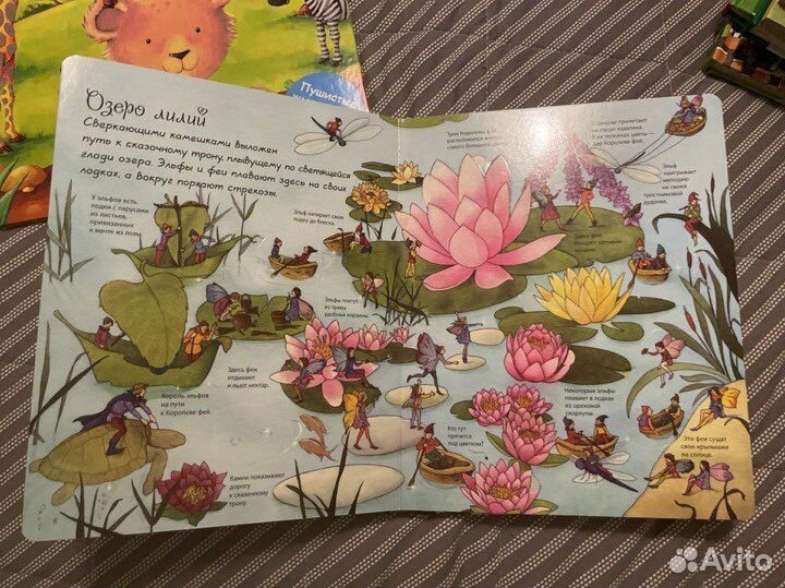 Детские книги - виммельбухи, сенсорные книги