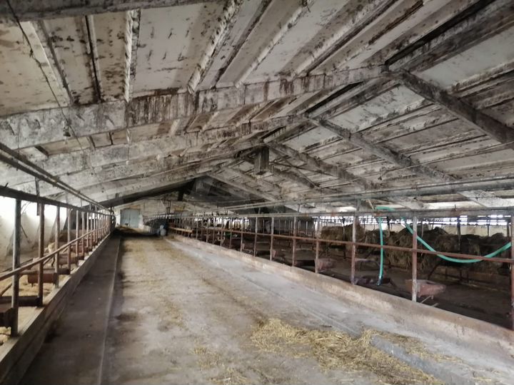 Участок 99999,99 га (СНТ, ДНП)